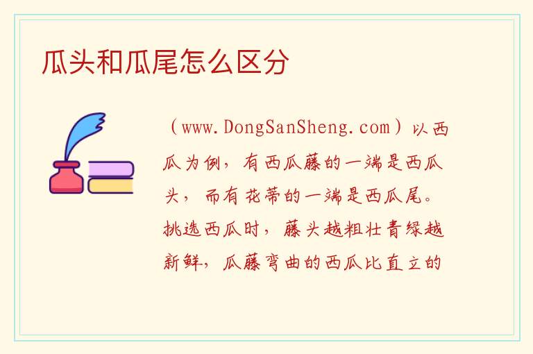 瓜头和瓜尾怎么区分 