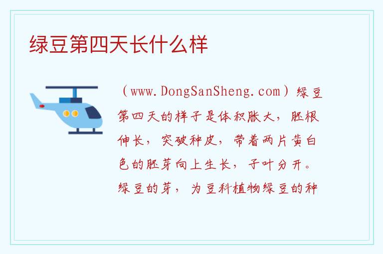 绿豆十大禁忌，绿豆十大禁忌