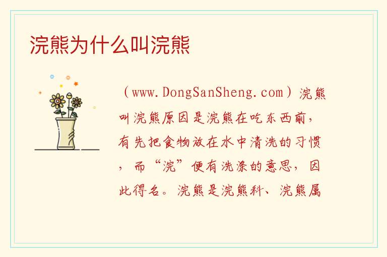 浣熊为什么叫浣熊 