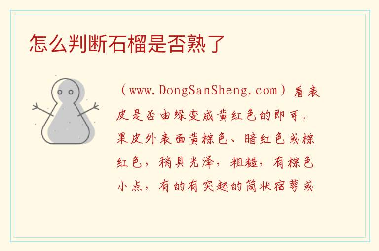 怎么判断石榴是否熟了 