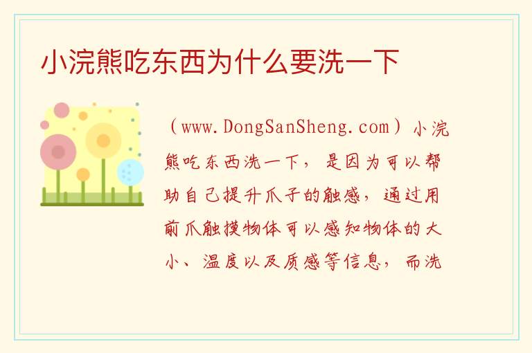 小浣熊吃东西为什么要洗一下 