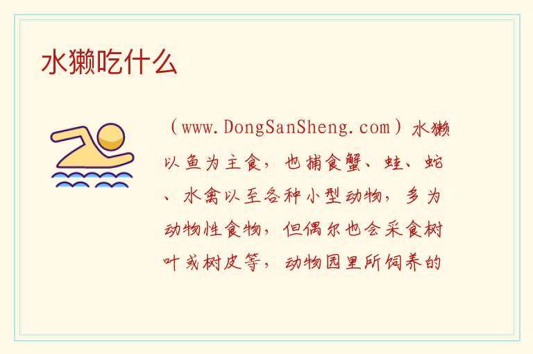 水獭为什么会拖人下水，水獭为什么会拖人下水