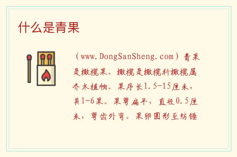 青果多少钱一斤，青果多少钱一斤