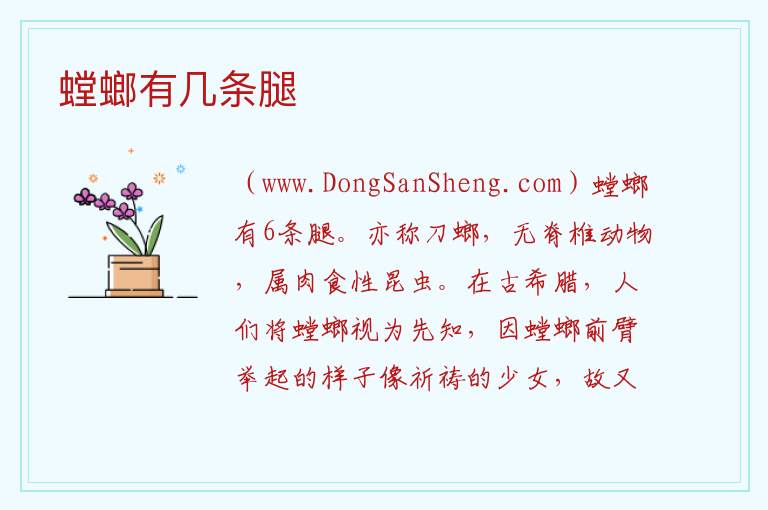 螳螂有几条腿 