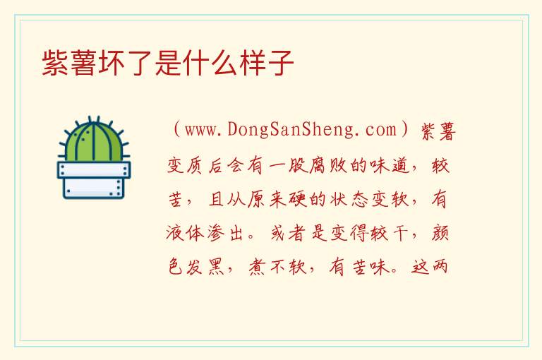 紫薯坏了是什么样子 