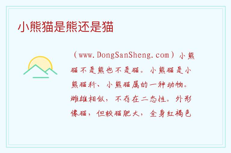 小熊猫是熊还是猫 