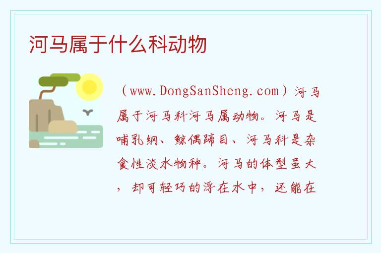 河马属于什么科动物 