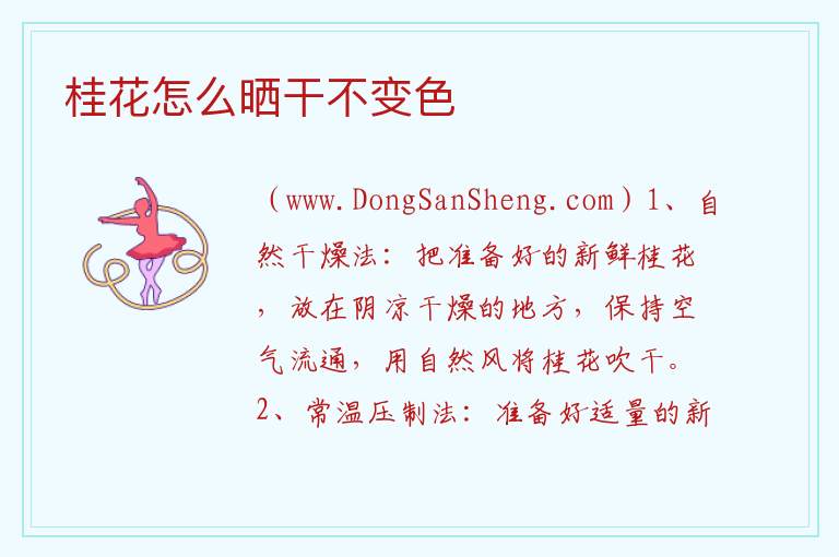 桂花怎么晒干不变色 