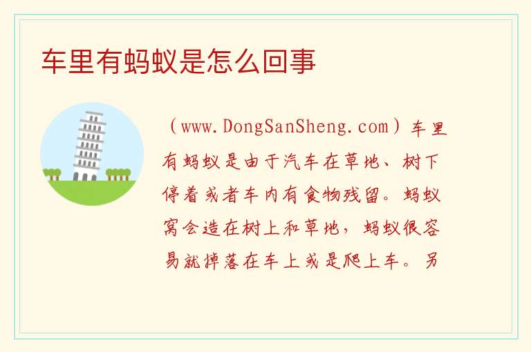 车里有蚂蚁是怎么回事 