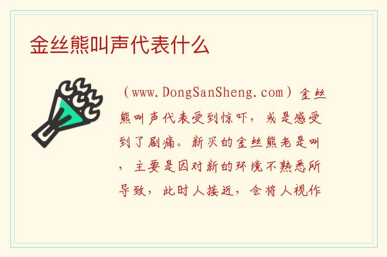 金丝熊叫声代表什么 