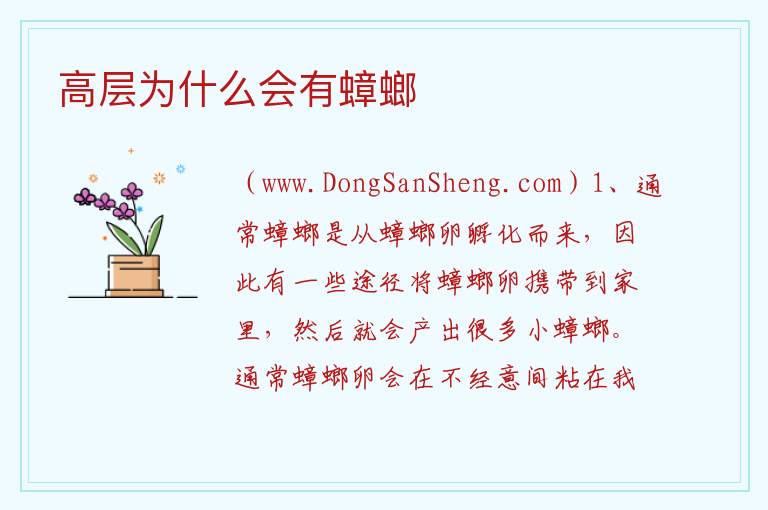 高层为什么会有蟑螂 