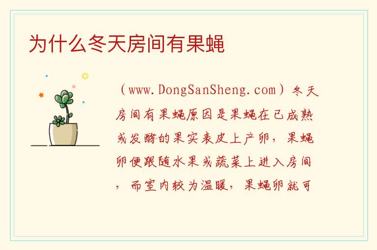 为什么冬天房间有果蝇 