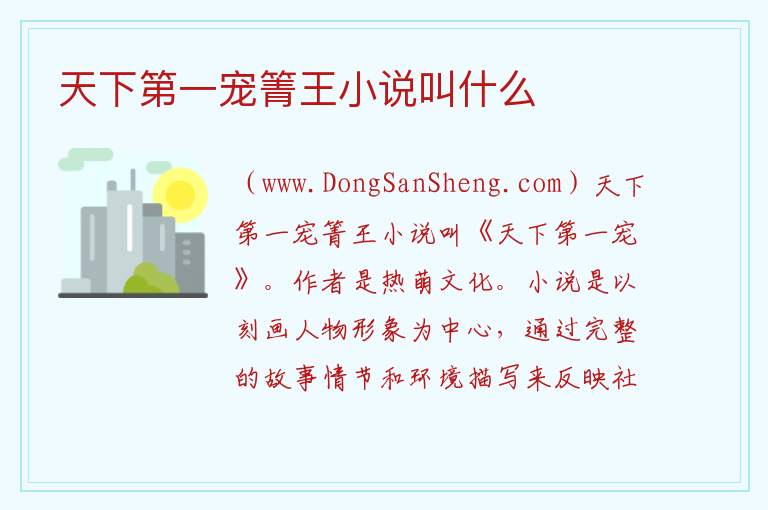 天下第一宠箐王小说叫什么 