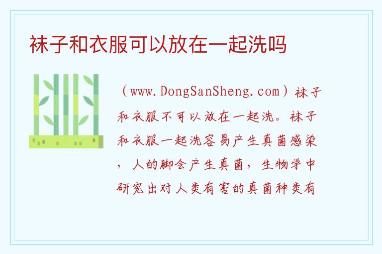 袜子和衣服可以放在一起洗吗 
