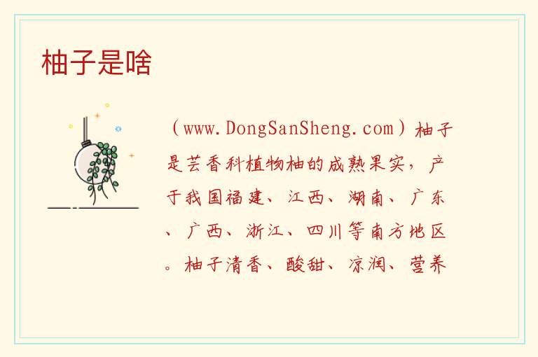 柚子是啥 