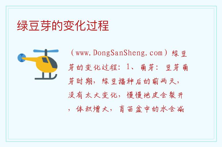绿豆芽的变化过程 