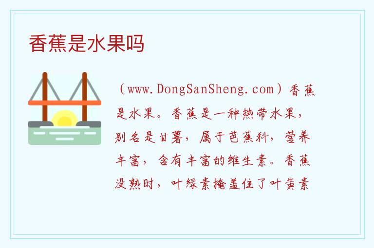 香蕉是水果吗 