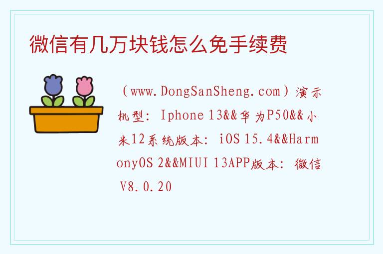 微信有几万块钱怎么免手续费 