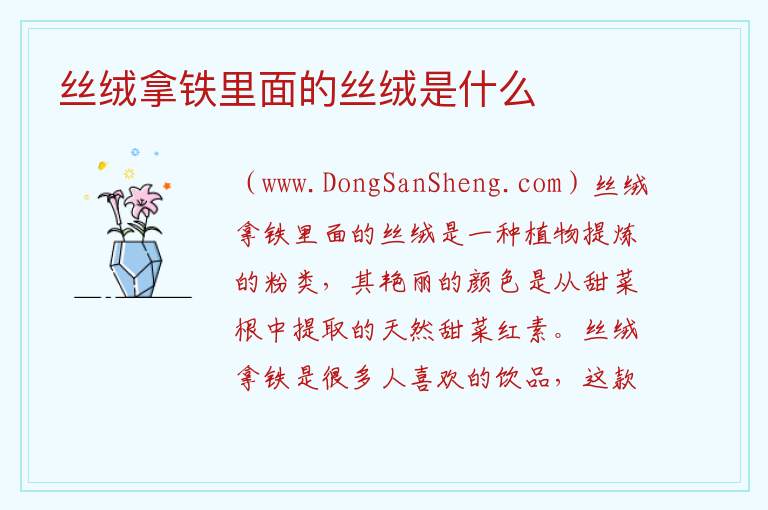 丝绒拿铁里面的丝绒是什么 