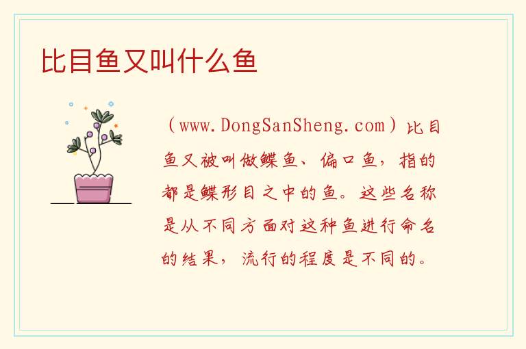 比目鱼又叫什么鱼 