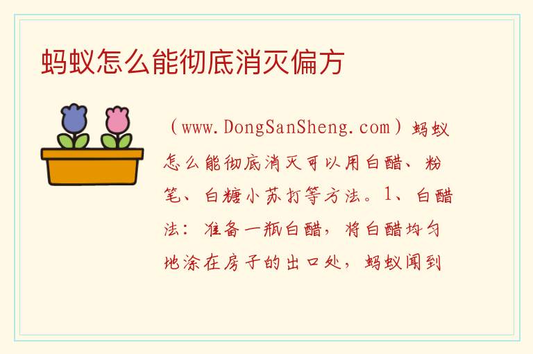 蚂蚁怎么能彻底消灭偏方 