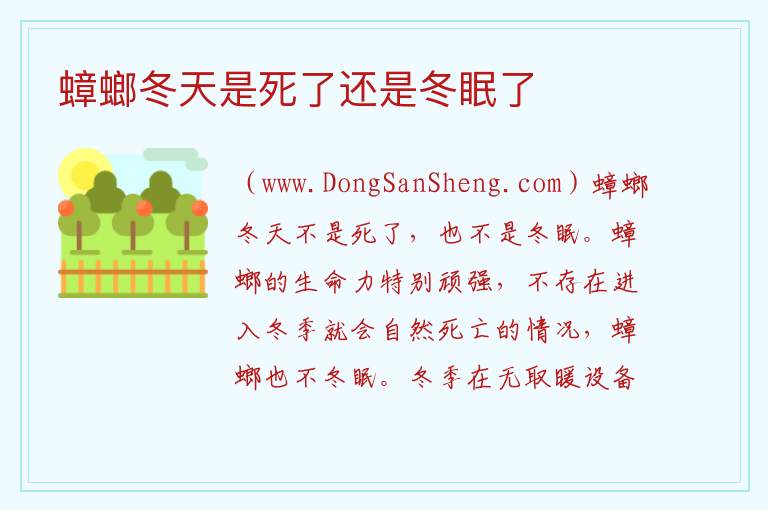 蟑螂冬天是死了还是冬眠了 