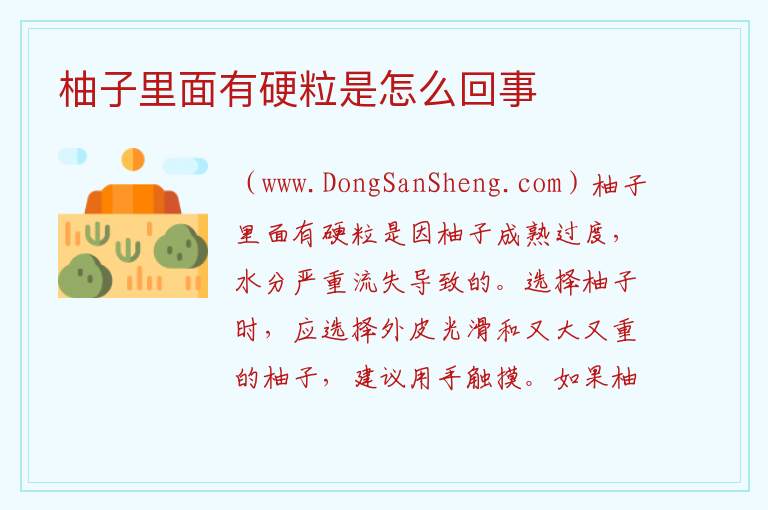 柚子里面有硬粒是怎么回事 