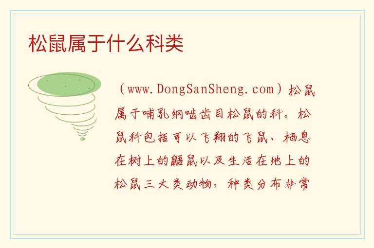 松鼠属于什么科类 