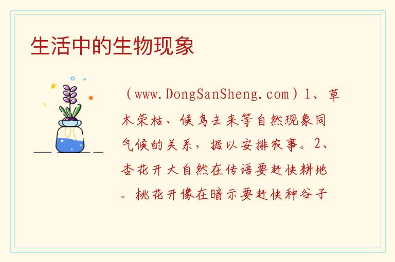 生活中的生物现象 