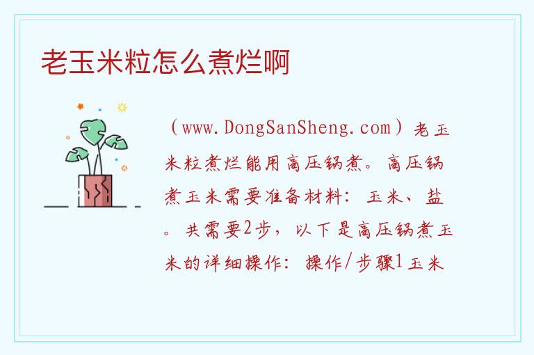 老玉米粒怎么煮烂啊 