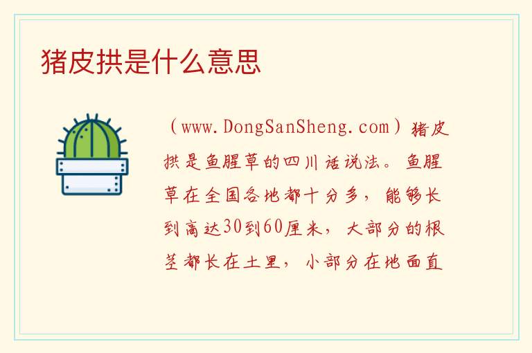猪皮拱是什么意思 