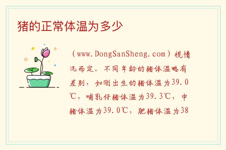 猪的正常体温为多少 