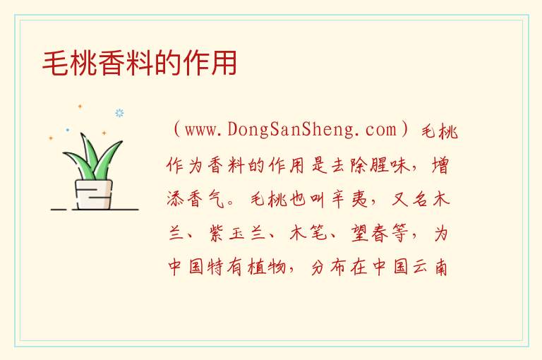 毛桃香料的作用 