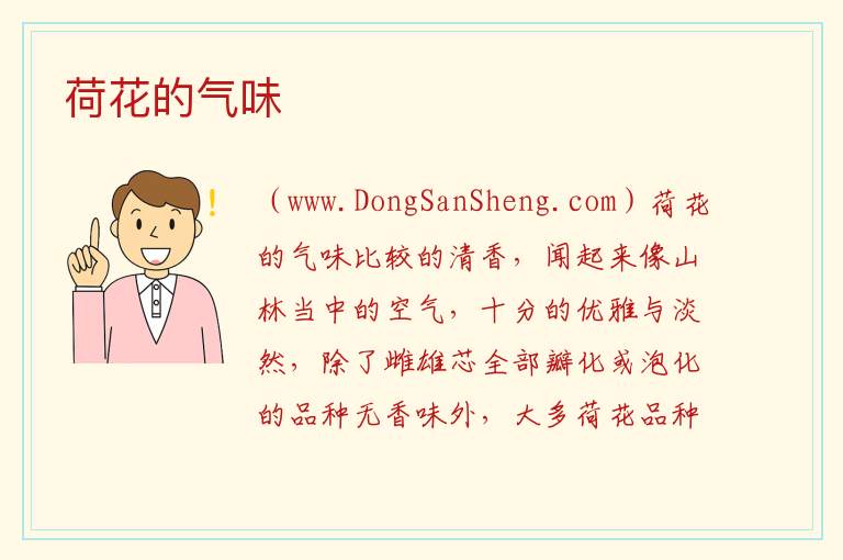荷花的气味20字，荷花的气味20字