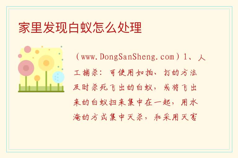 家里发现白蚁怎么处理 