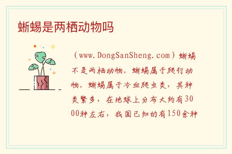 蜥蜴是两栖动物吗 