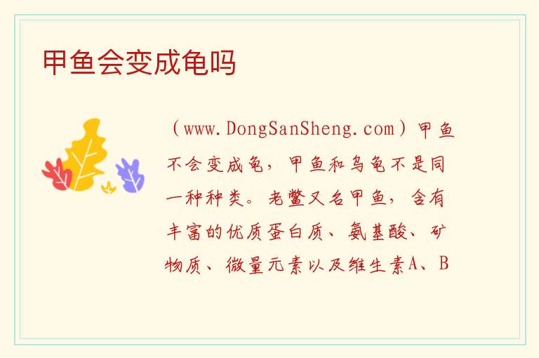 甲鱼会变成龟吗 