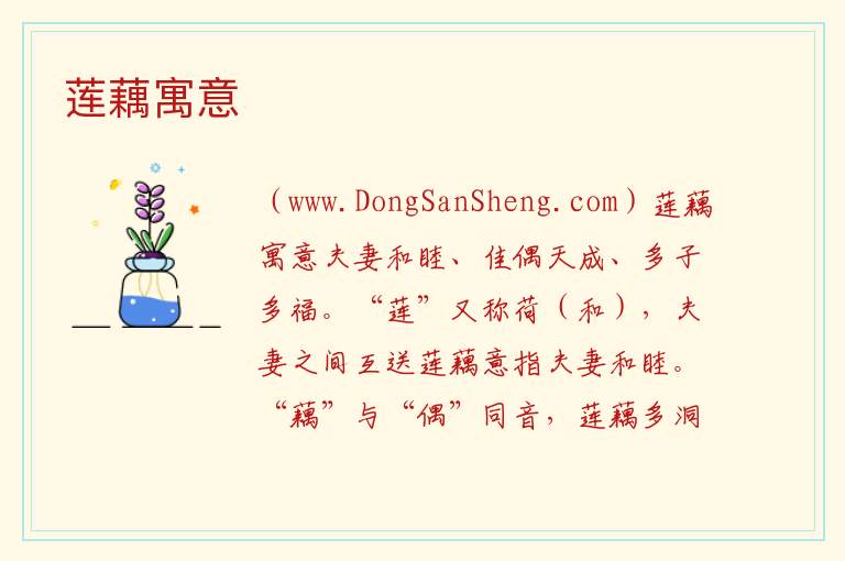 莲藕寓意 