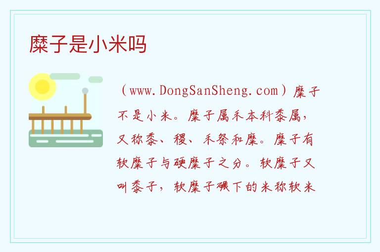 糜子是小米吗 