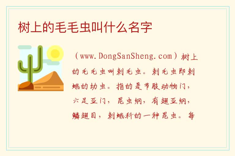 树上咬人绿毛毛虫叫啥，树上咬人绿毛毛虫叫啥