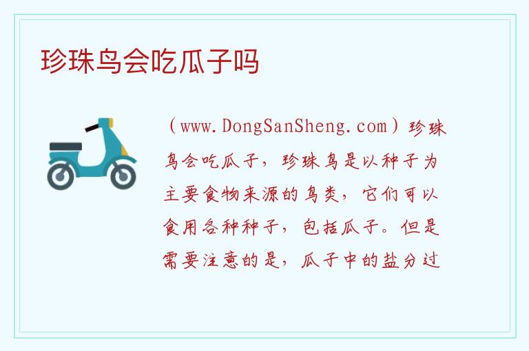 珍珠鸟会吃瓜子吗 