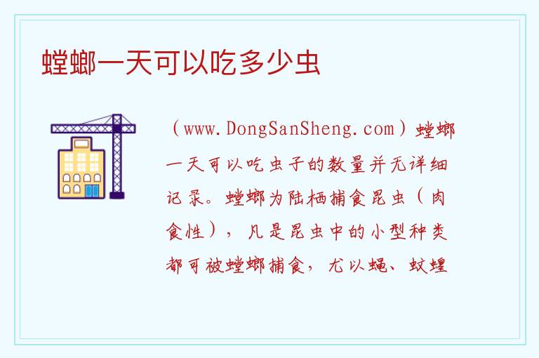 螳螂一天可以吃多少虫 
