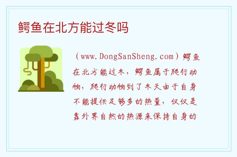 鳄鱼在北方能过冬吗 