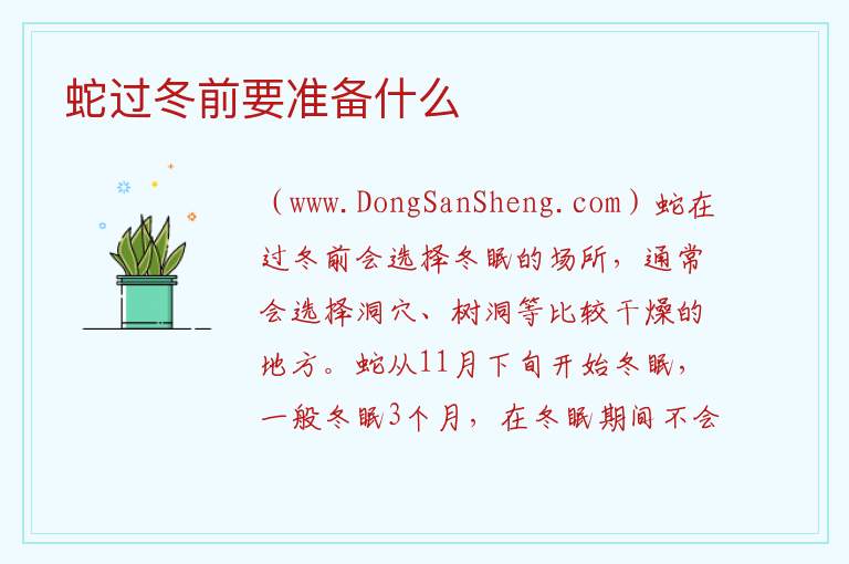 蛇过冬前要准备什么 