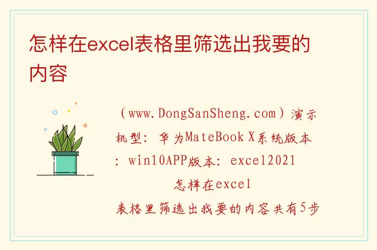怎样在excel表格里筛选出我要的内容 