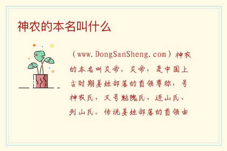 神农的本名叫什么 