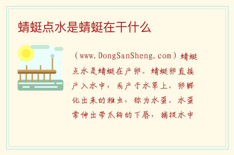 蜻蜓点水是蜻蜓在干什么 