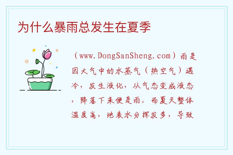 为什么暴雨总发生在夏季 