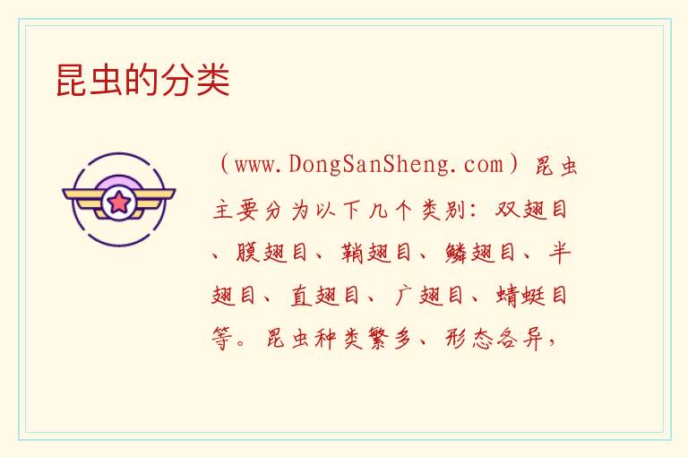昆虫的分类 