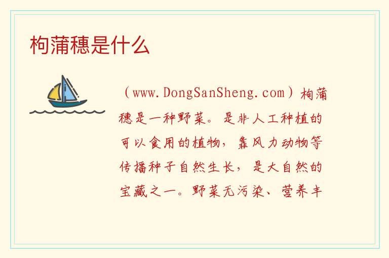 枸蒲穗是什么 